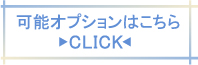 可能オプションはこちら